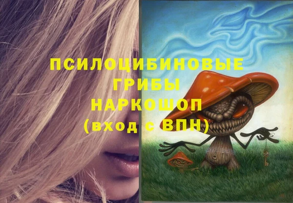 мет Каменск-Шахтинский