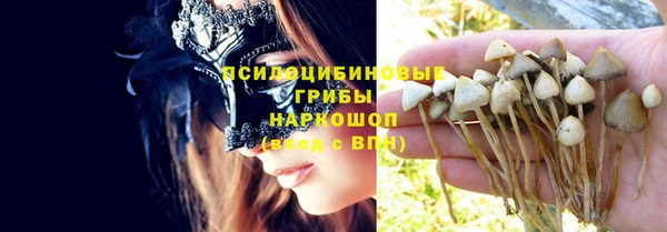 мет Каменск-Шахтинский