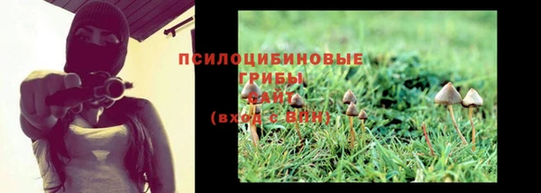 героин Каменногорск