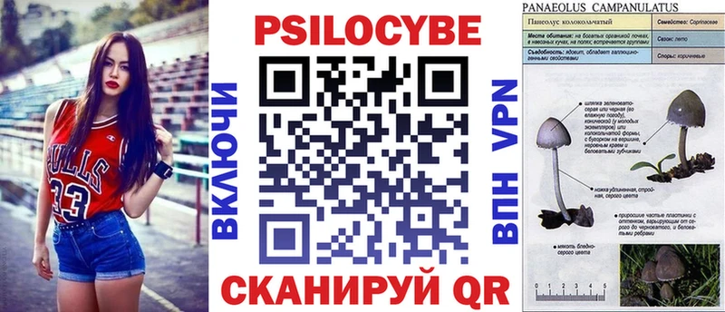 Купить  Рославль  Псилоцибиновые грибы ЛСД 